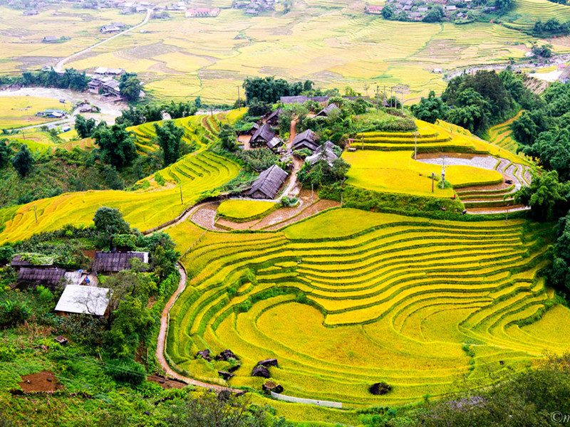 Tour Du Lịch Sapa Chợ Bắc Hà 2 Ngày 1 Đêm