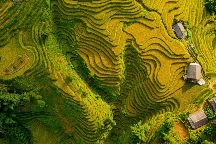 Tour Du Lịch Sapa 2 Ngày 3 Đêm – Tàu Hỏa