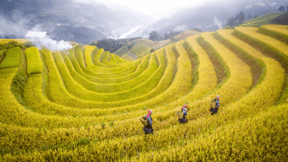 Tour Sapa 3 Ngày 2 Đêm Từ Hà Nội