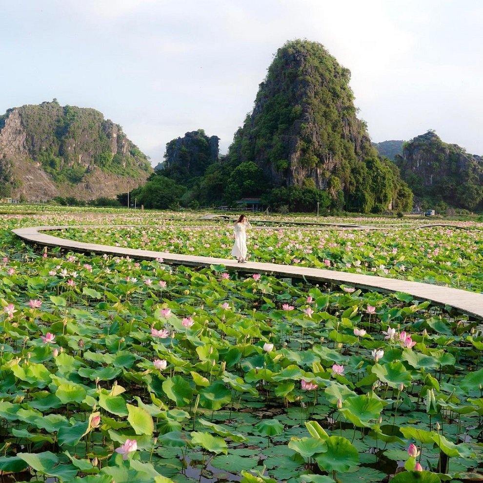 Tour Hoa Lư – Tam Cốc – Hang Múa 1 Ngày