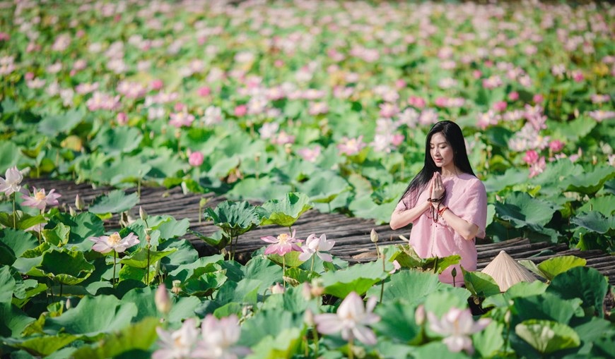 Tour Hoa Lư – Tam Cốc – Hang Múa 1 Ngày