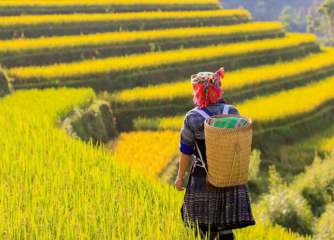 Tour Sapa 3 Ngày 2 Đêm Từ Hà Nội