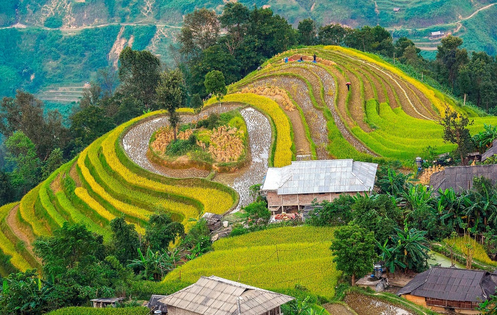 Tour Hà Giang 3 Ngày 3 Đêm Khởi Hành Hàng Ngày