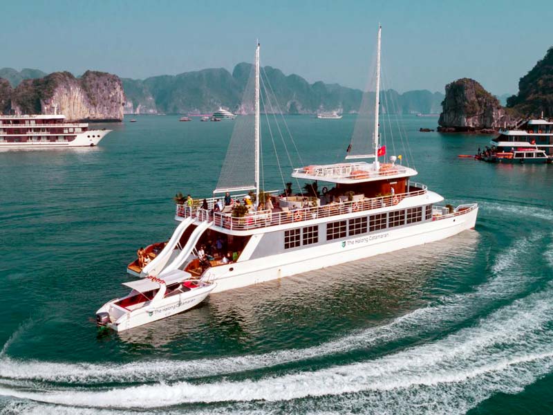 Tour Cát Bà 1 Ngày Từ Hà Nội | Vịnh Lan Hạ – Kayak Hang Sáng Tối | Giá Tốt 2026