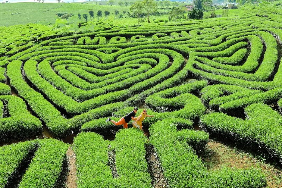 Khám phá Mộc Châu 3 ngày 2 đêm từ Hà Nội cùng The Sinh Tour