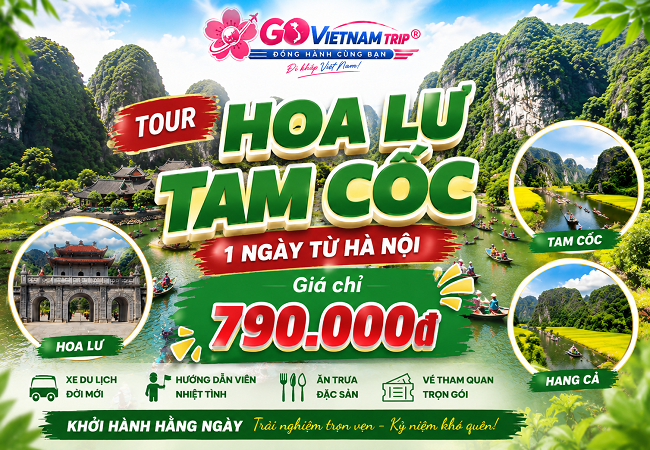 Tour Hoa Lư Tam Cốc 1 Ngày Từ Hà Nội