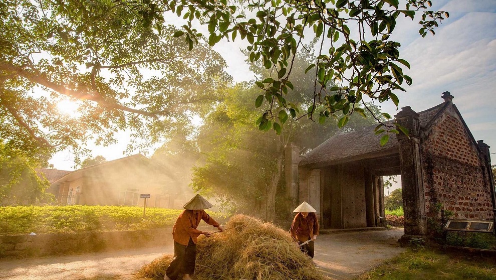 Tour Làng Cổ Đường Lâm 1 Ngày Từ Hà Nội