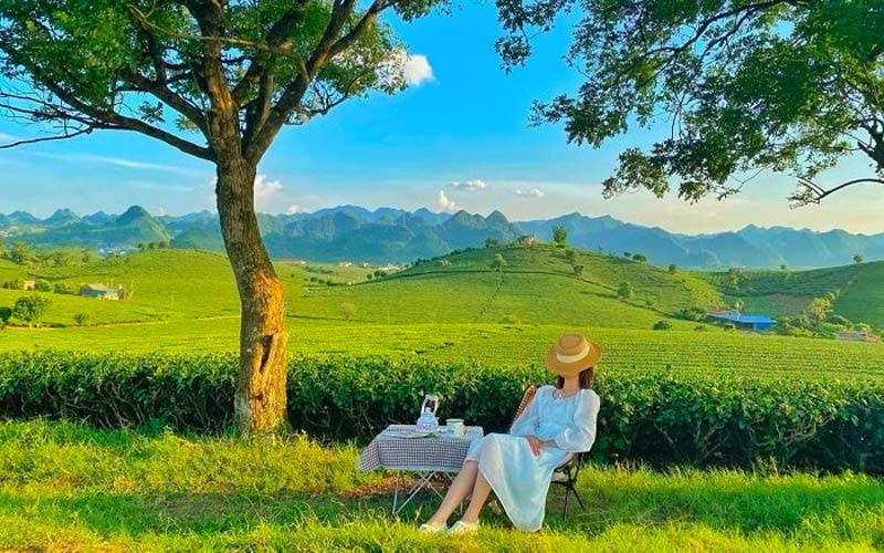 Tour Mộc Châu 2 Ngày 1 Đêm Từ Hà Nội | The Sinh Tour