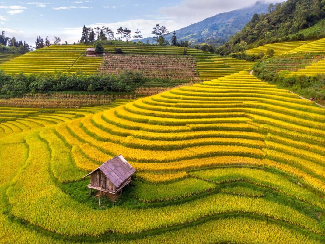 Tour Sapa 3 Ngày 3 Đêm Từ Hà Nội
