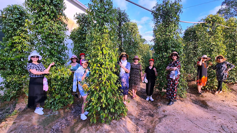 Tour Suối Tiên Phú Quốc 1 Ngày